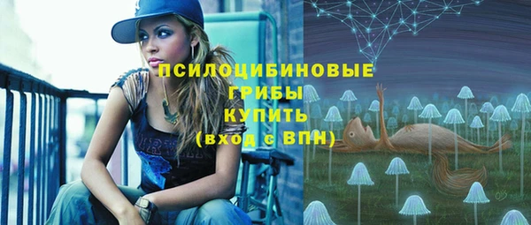 соль ск Алзамай