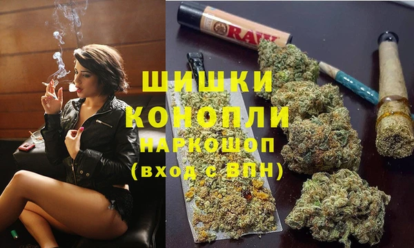 соль ск Алзамай