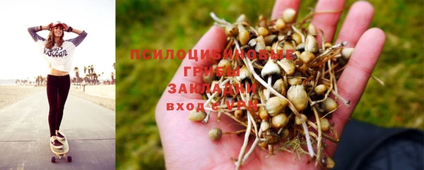 соль ск Алзамай