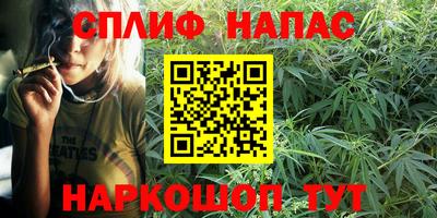 СК Донской