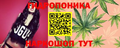 СК Донской