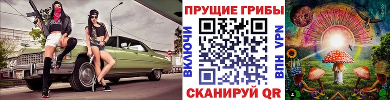 ОМГ ОМГ ONION  Октябрьский  Галлюциногенные грибы Psilocybine cubensis 